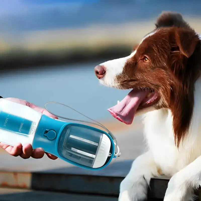 3 in 1 Bottle for Traveling Dogs