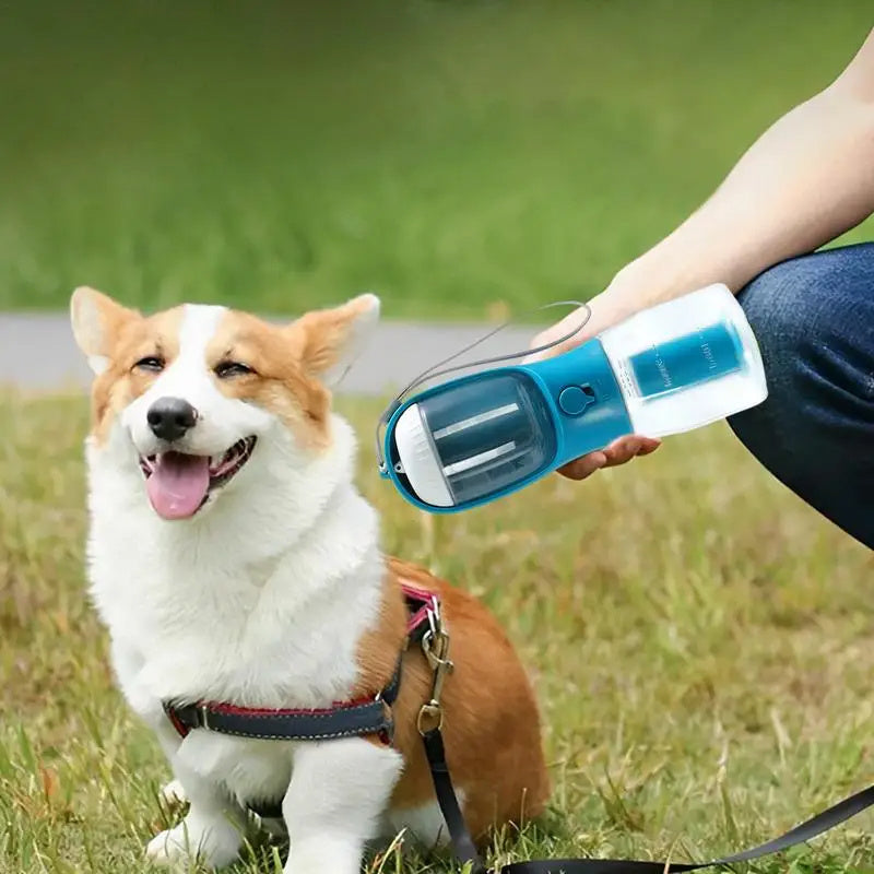 3 in 1 Bottle for Traveling Dogs